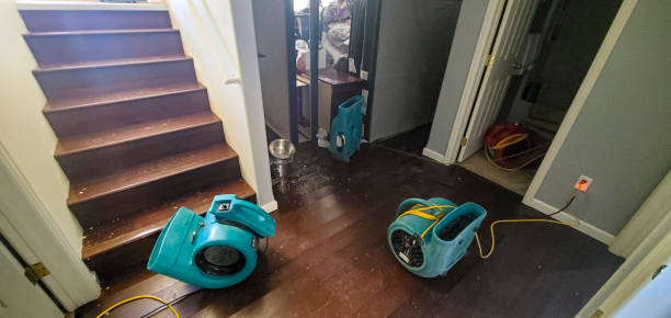 Best Flood damage cleanup  in Mound, MN