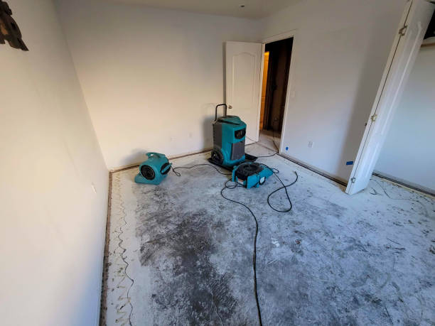 Best Professional water damage repair  in Mound, MN