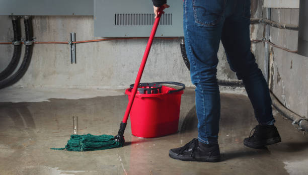 Best Water damage cleanup near me  in Mound, MN