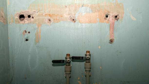 Best Water damage restoration experts  in Mound, MN