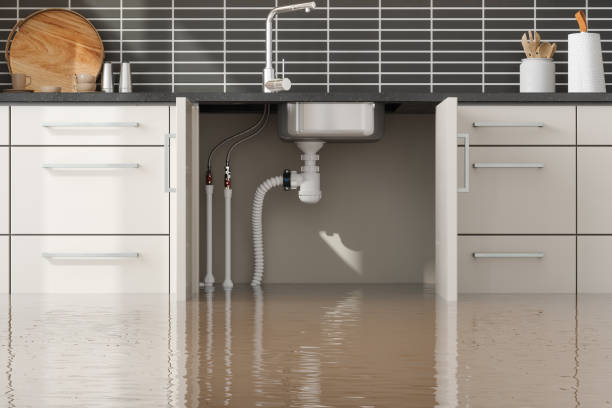 Water damage restoration insurance claims in Mound, MN
