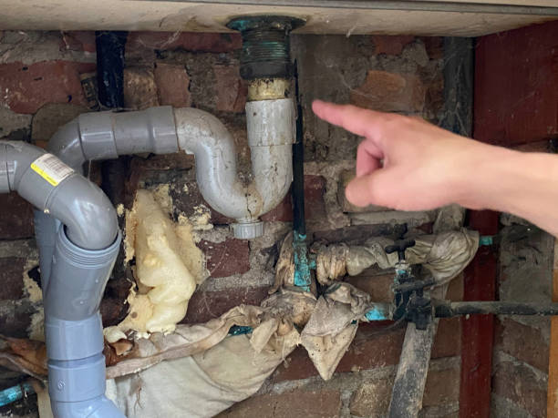 Best Basement water damage restoration  in Mound, MN