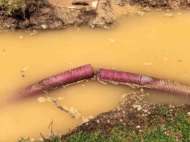 Best Basement water damage restoration  in Mound, MN