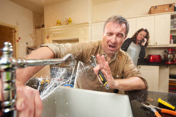 Best Water damage restoration process  in Mound, MN